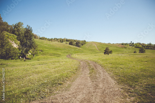A dirt road going through a grassy field