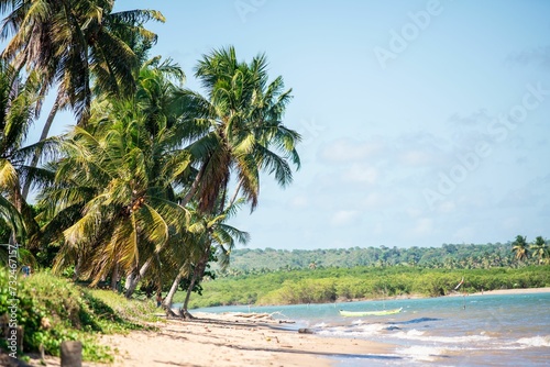 Fototapeta Naklejka Na Ścianę i Meble -  Scenic view of palm trees on a sandy beach on a sunny day