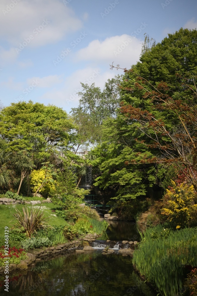 Outdoor scene featuring a park in the background, with a tranquil stream flowing through