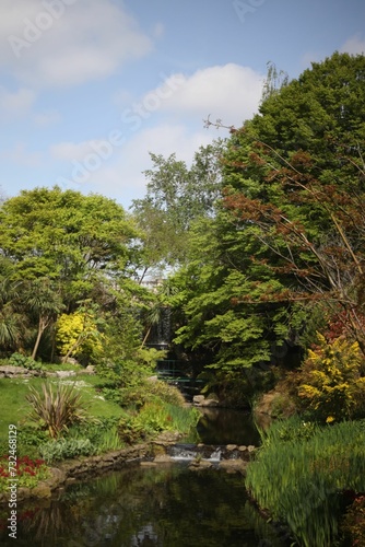 Outdoor scene featuring a park in the background, with a tranquil stream flowing through