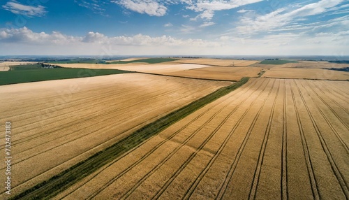 wide view of large wheat fields