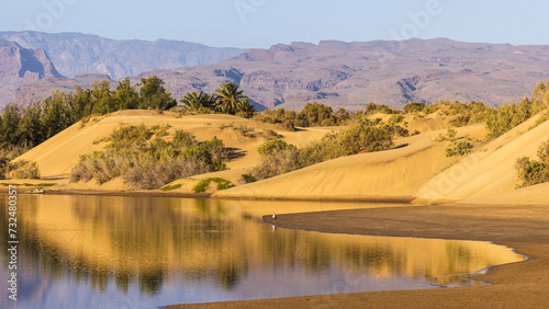 In the centre of Maspalomas photo