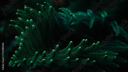 AI generated illustration of a closeup of lush green needles of a tall pine tree