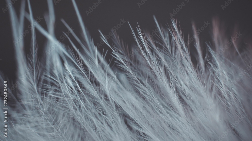 AI generated illustration of a close-up of a white feather with its delicate and intricate details