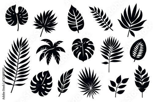 Collection of exotic leaves silhouettes. icon set. Vector illustration