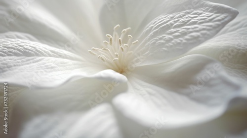 Detailed macro shot of white flower petals illuminated by soft, natural light, AI-generated.