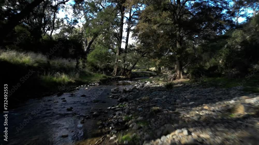 Drone view of a rocky river in a forest Drone view of a rocky river in a forest