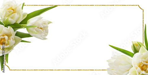White tulip flowers in a fl...