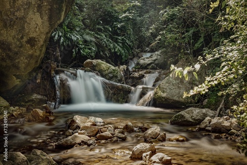 Scenic view of a waterfall cascading down the rocks covered with greenery