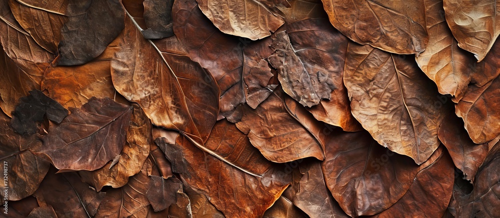 A close up of a pile of brown leaves, fallen from a tree. The earthy brown color adds depth to the pattern formed on the ground. A close up of a pile of brown leaves, fallen from a tree. The earthy brown color adds depth to the pattern formed on the ground.