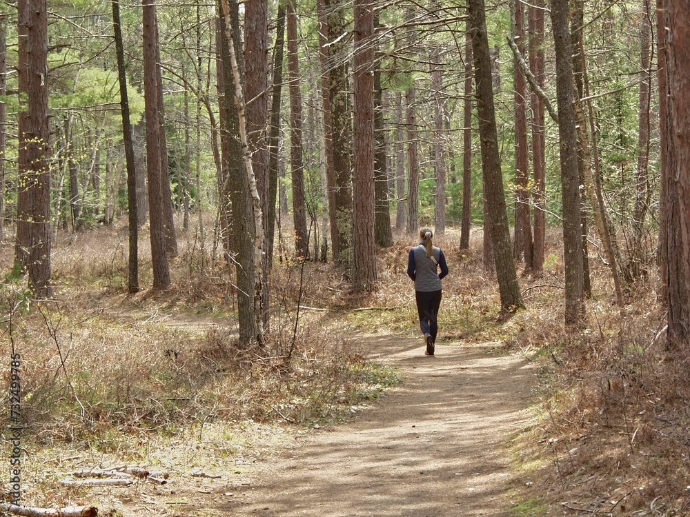 Lone individual strides along a path winding through a lush pine forest Lone individual strides along a path winding through a lush pine forest