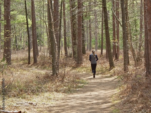 Lone individual strides along a path winding through a lush pine forest