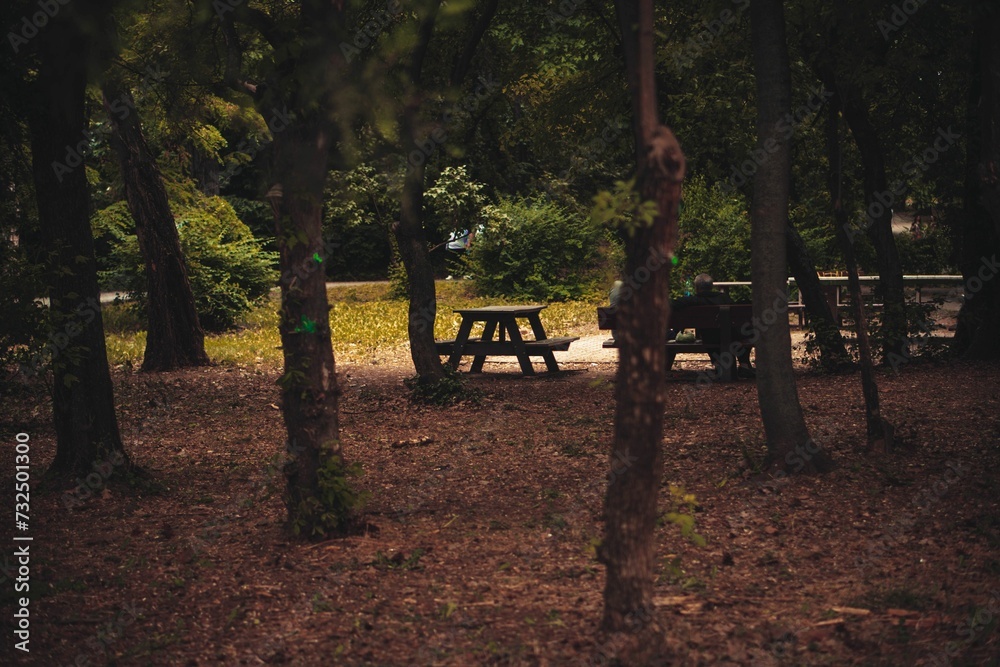 Rectangular wooden picnic table in a green wooded area