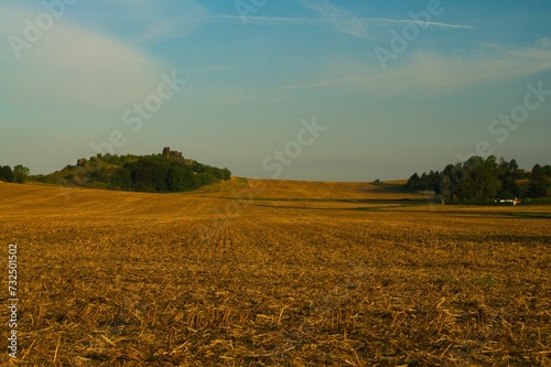 Scenic view of a vast grassy field with a stunning clear blue sky.
