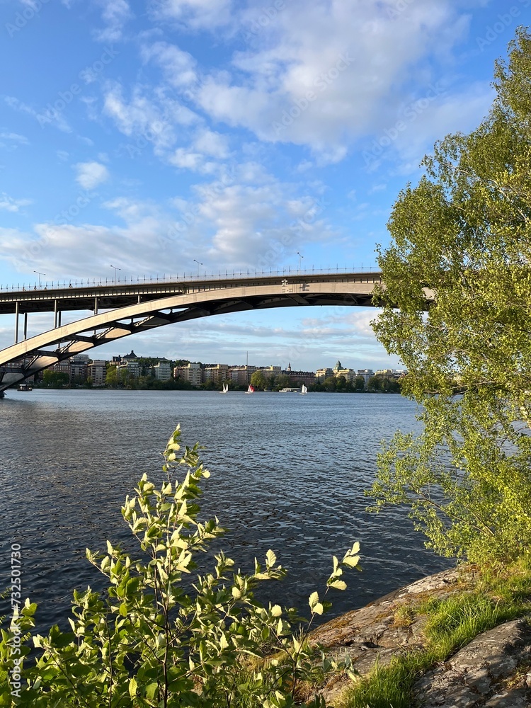 Obraz premium bridge over the river