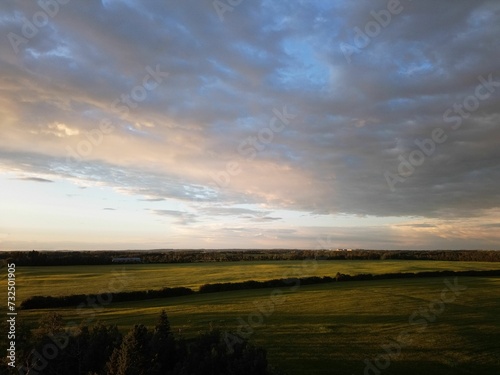 clouds over an open grassy field at sunset, with trees in the foreground © Wirestock