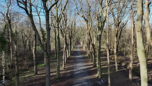 beautiful large avenue in a forest mildenburgbos in holland