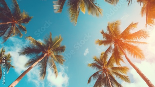 Blue sky and palm trees view from below, vintage style, tropical beach and summer background, travel concept © Lubos Chlubny