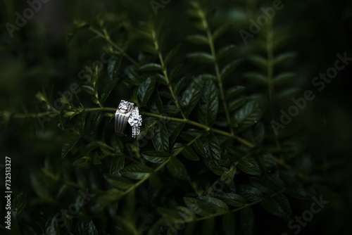 A Pair Of Wedding Ring In Leaf