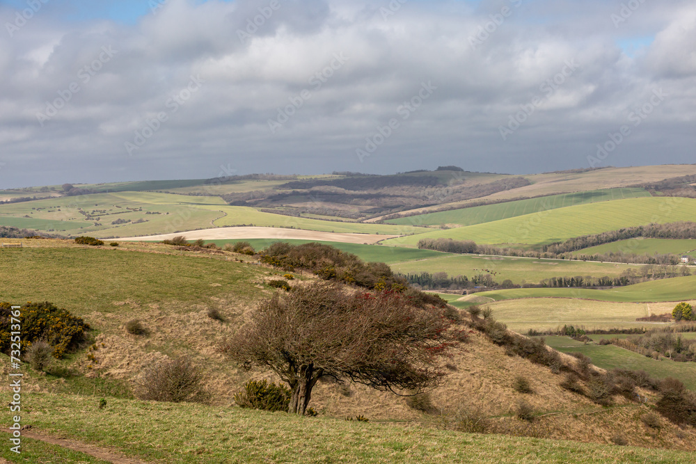 A view over the South Downs from Kingston Ridge, on a spring day