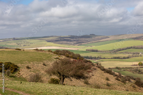 A view over the South Downs from Kingston Ridge, on a spring day