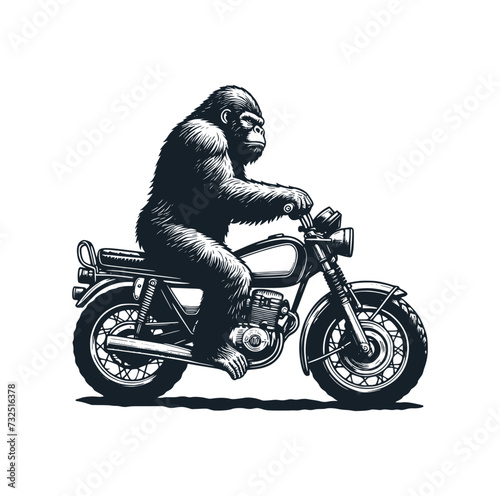 Gorilla ride a motorcycle. Vector illustration