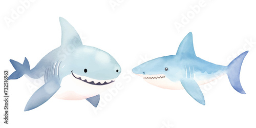 cute Shark watercolor illustration