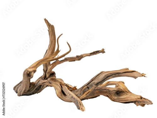 dried branch isolated on transparent background