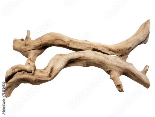 dried branch isolated on transparent background