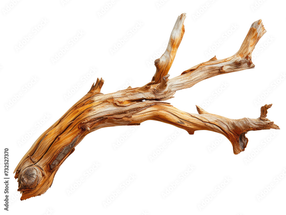 dried branch isolated on transparent background