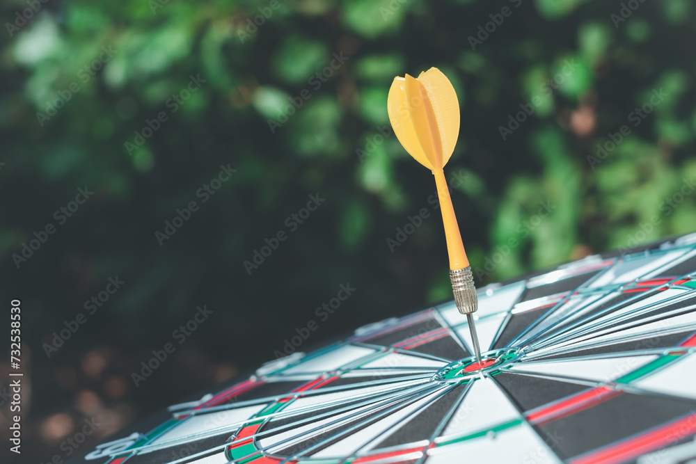 Bullseye is a target of business. Dart is an opportunity and Dartboard is the target and goal.  targeting and winning goals business.