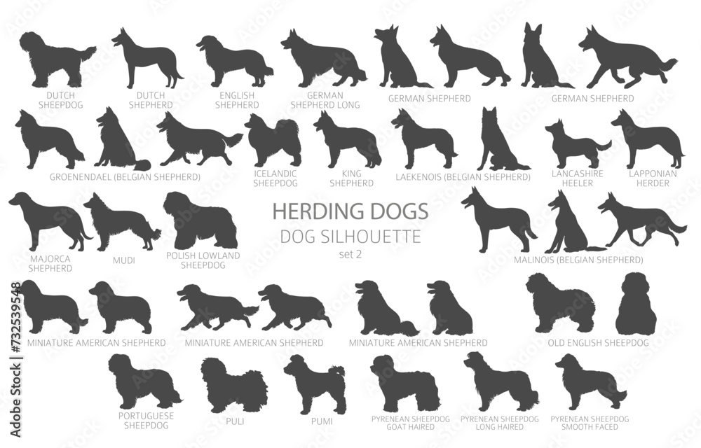 Dog breeds silhouettes simple style clipart. Herding dogs, sheepdog, shepherds collection Dog breeds silhouettes simple style clipart. Herding dogs, sheepdog, shepherds collection