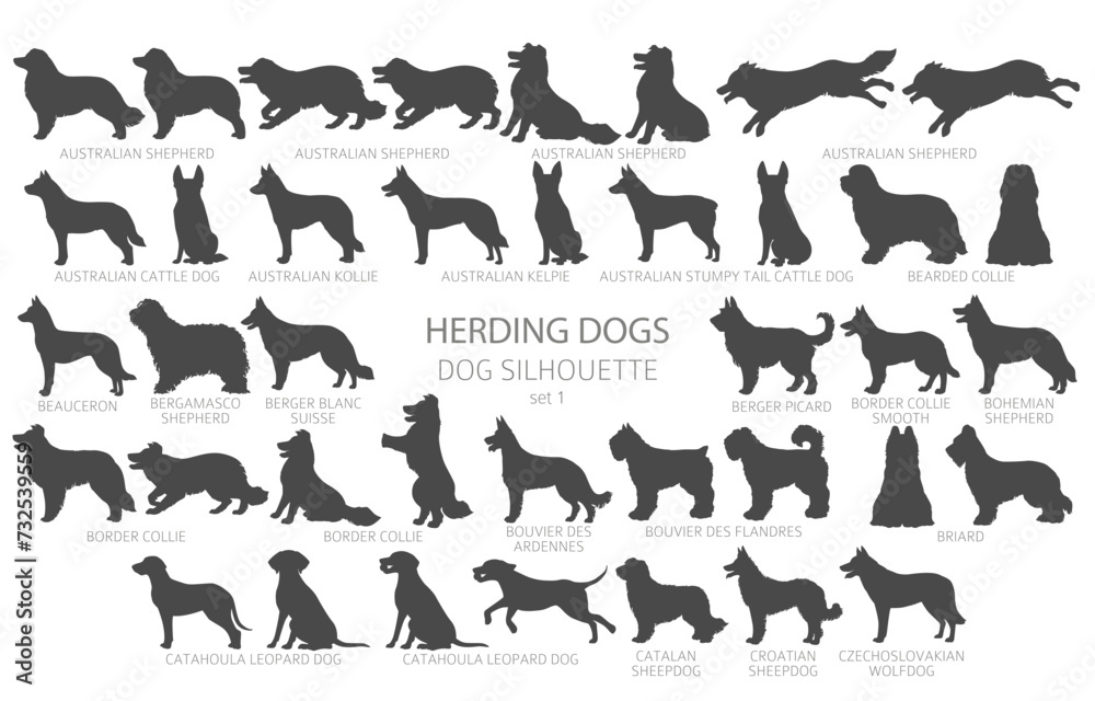 Dog breeds silhouettes simple style clipart. Herding dogs, sheepdog, shepherds collection Dog breeds silhouettes simple style clipart. Herding dogs, sheepdog, shepherds collection