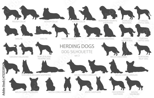 Fototapeta Naklejka Na Ścianę i Meble -  Dog breeds silhouettes simple style clipart. Herding dogs, sheepdog, shepherds collection