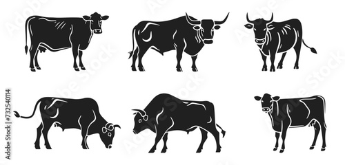 Cow vector illustration set. Cute ox, bull, calf in style of hand drawn black doodle on white background. Farm animals, domestic pet silhouette sketch photo