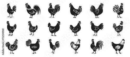 Chicken vector illustration set. Hen, rooster in style of hand drawn black doodle on white background. Farm animals, domestic pet silhouette sketch