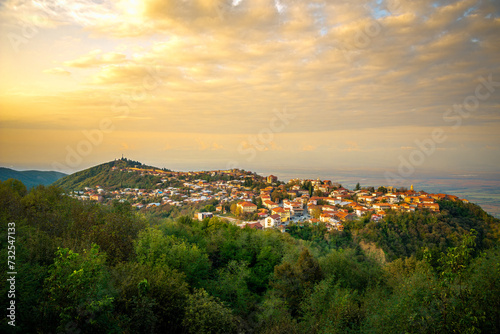 View of the medieval Georgian town of Sighnaghi ( Signagi ), wine region of Georgia. 