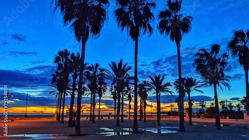 Palm trees at dawn on Cabanyal beach