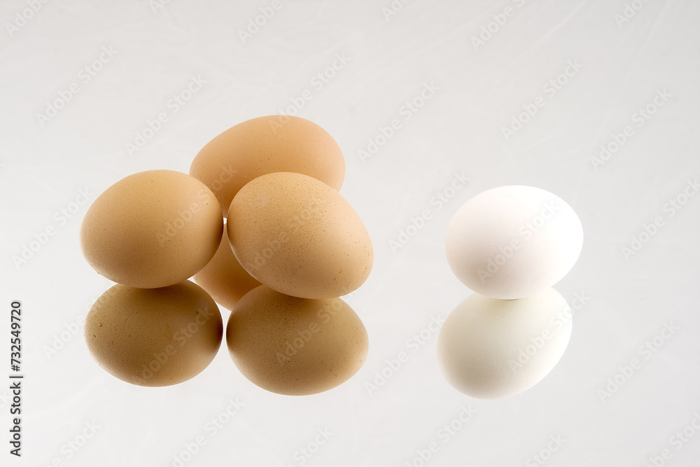 Group Of Brown Eggs And A Single White Egg On A Reflective Surface, Illustrating The Concept Of Individuality And Uniqueness Among The Majority Group Of Brown Eggs And A Single White Egg On A Reflective Surface, Illustrating The Concept Of Individuality And Uniqueness Among The Majority