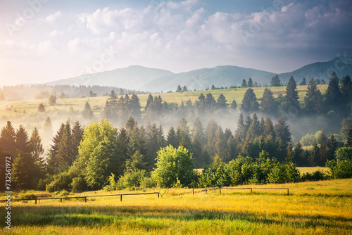 Peaceful view of the mountainous area with fog in the morning. Carpathian National Park, Ukraine, Europe.