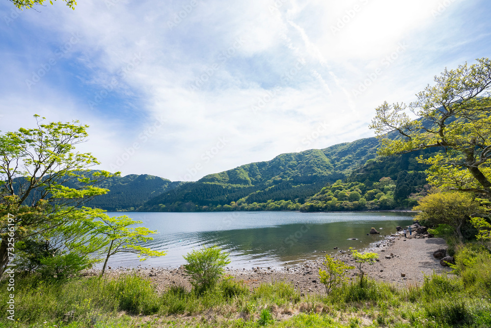 Fototapeta premium 新緑のキャンプ場、初夏のバーベキュー場、湖畔のグランピング施設、