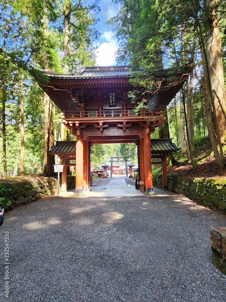 Plant Sky Tree Road surface Shade Chinese architecture Plant Sky Tree Road surface Shade Chinese architecture