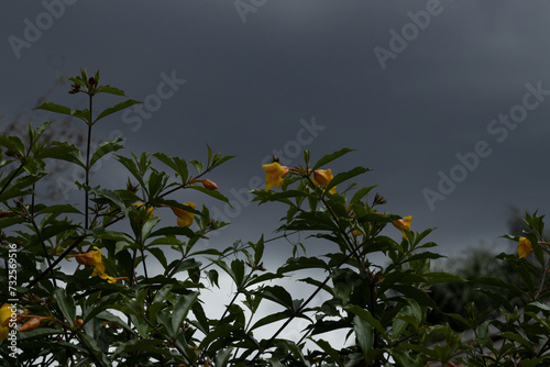 very cloudy and dar sky before heavy rain