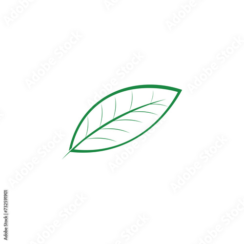 Katuk leaves icon template