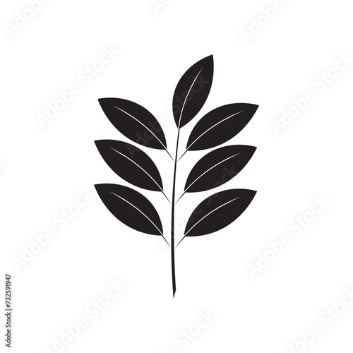 Katuk leaves icon template