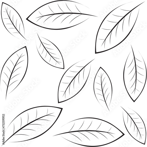 Katuk leaves icon template