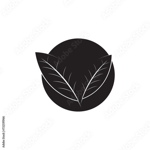 Katuk leaves icon template