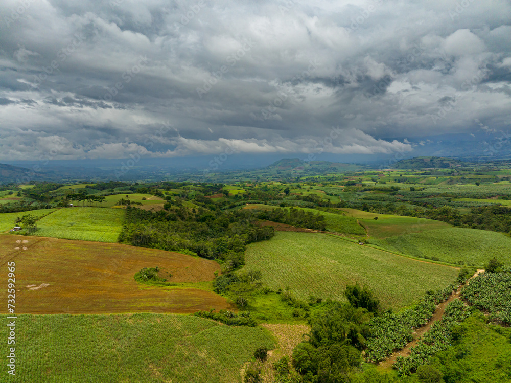 Aerial survey of paddy rice fields and green forest. Farmland under the clouds. Mindanao, Philippines.