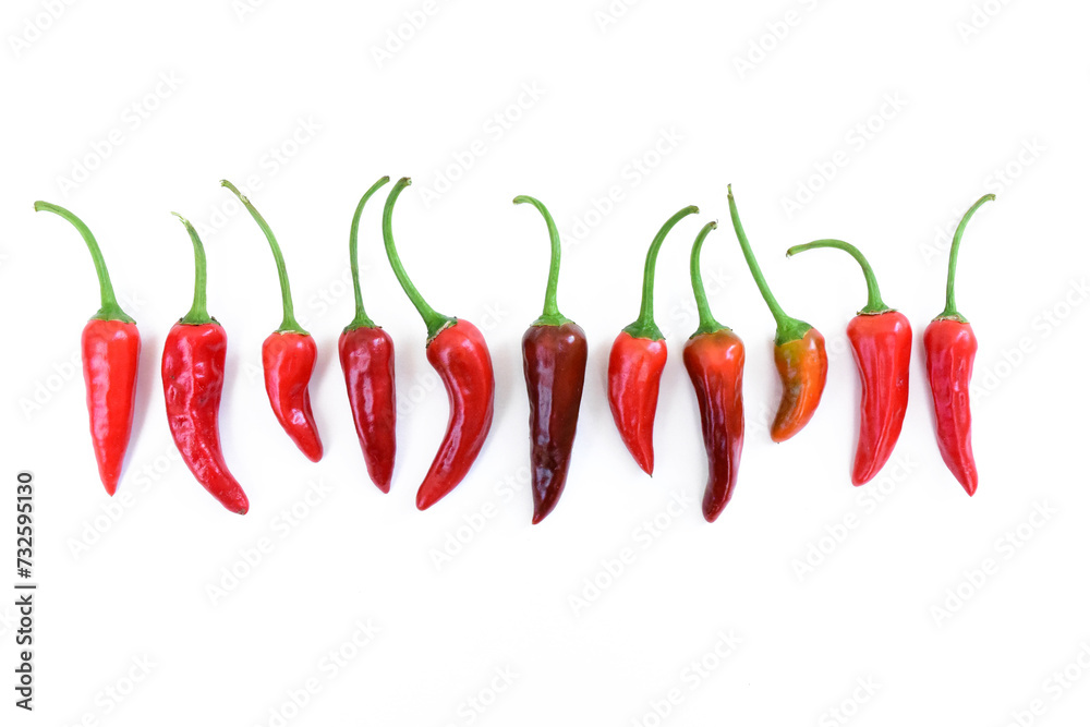 Red hot peppers arranged in line. Many red hot chili peppers on white background. Small short spicy peppers Red hot peppers arranged in line. Many red hot chili peppers on white background. Small short spicy peppers