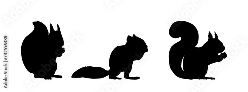 Set of Squirrel silhouette vector illustration